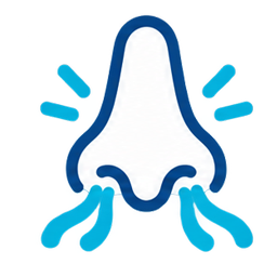 Congestión nasal