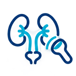Ecografía Renal y Urinaria