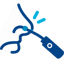 Endoscopía nasal
